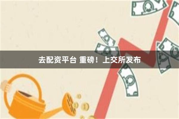 去配资平台 重磅！上交所发布