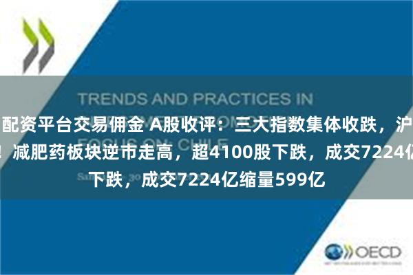 配资平台交易佣金 A股收评：三大指数集体收跌，沪指跌0.92%！减肥药板块逆市走高，超4100股下跌，成交7224亿缩量599亿