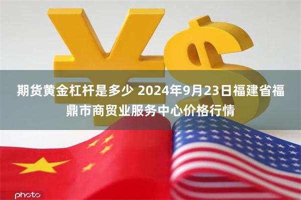 期货黄金杠杆是多少 2024年9月23日福建省福鼎市商贸业服务中心价格行情