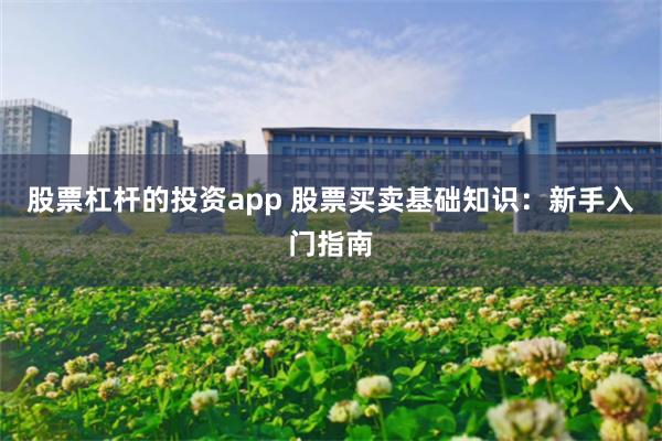 股票杠杆的投资app 股票买卖基础知识：新手入门指南