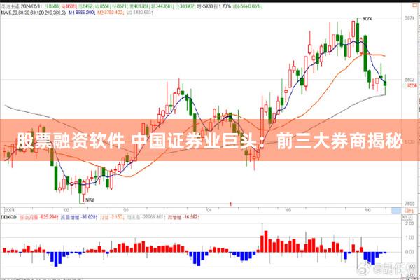 股票融资软件 中国证券业巨头：前三大券商揭秘