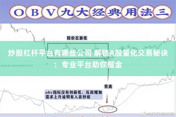 炒股杠杆平台有哪些公司 解锁A股量化交易秘诀：专业平台助你掘金