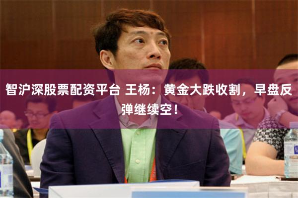 智沪深股票配资平台 王杨：黄金大跌收割，早盘反弹继续空！