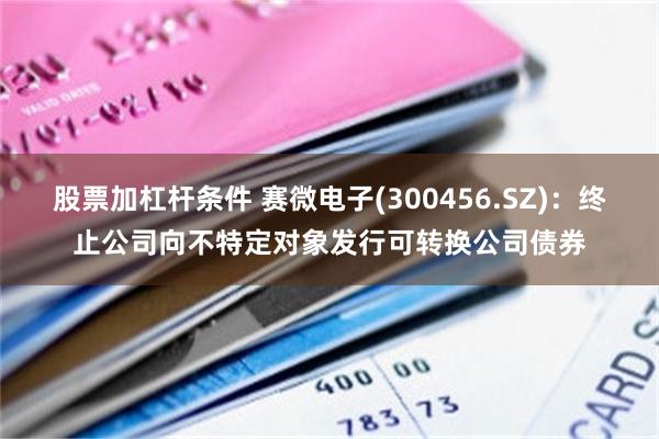 股票加杠杆条件 赛微电子(300456.SZ)：终止公司向不特定对象发行可转换公司债券