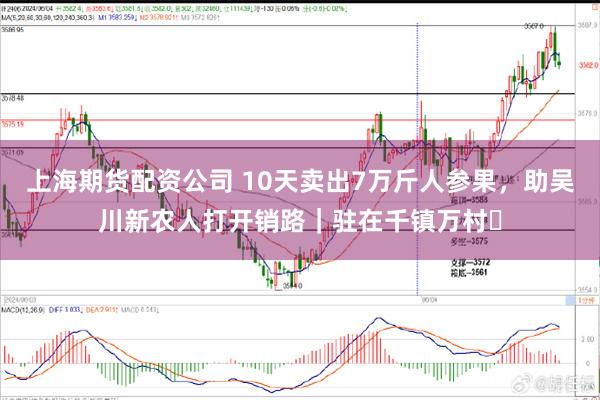 上海期货配资公司 10天卖出7万斤人参果，助吴川新农人打开销路｜驻在千镇万村⑪