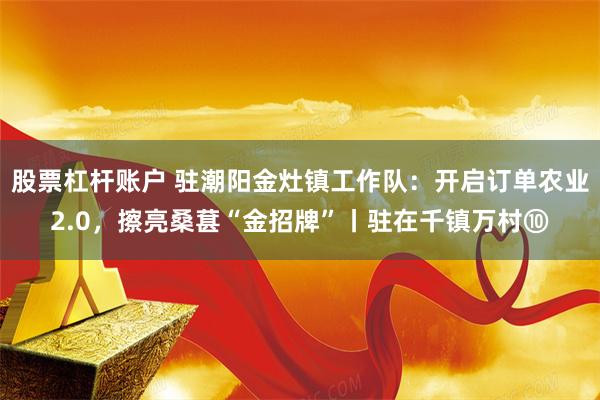 股票杠杆账户 驻潮阳金灶镇工作队：开启订单农业2.0，擦亮桑葚“金招牌”丨驻在千镇万村⑩