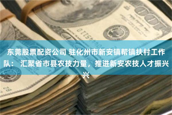 东莞股票配资公司 驻化州市新安镇帮镇扶村工作队： 汇聚省市县农技力量，推进新安农技人才振兴