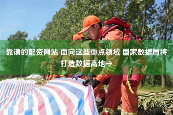 靠谱的配资网站 面向这些重点领域 国家数据局将打造数据高地→
